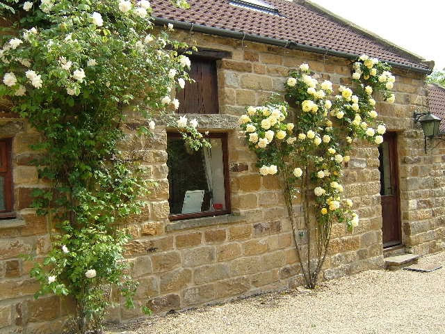 Browdale Cottage at Thorney Brow Farm